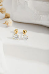 Studs brillantes 5 mm